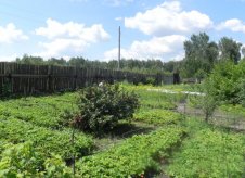 Участок 12 сот. (СНТ, ДНП)