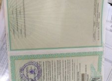 Участок 9 сот. (ИЖС)