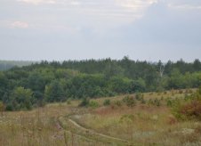Участок 88.2 га (СНТ, ДНП)