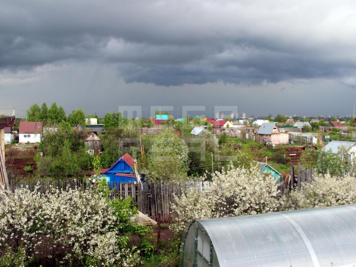 Купить Сад В Перми Недорого