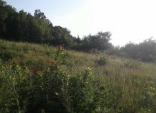 Участок 7 сот.