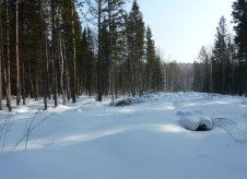 Участок 15 сот. (СНТ, ДНП)