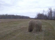 Участок 41.4 га (СНТ, ДНП)
