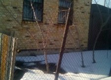 Участок 9.1 сот.