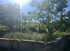 Участок 6 сот. (СНТ, ДНП)