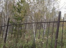 Участок 5 сот. (СНТ, ДНП)