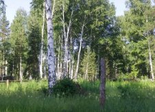 Участок 10 сот. (ИЖС)