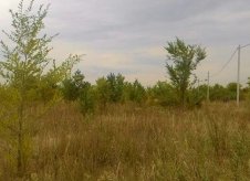 Участок 10.8 сот. (ИЖС)