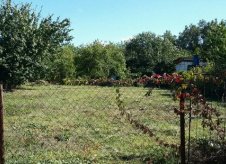Участок 5 сот. (СНТ, ДНП)