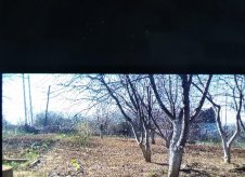 Участок 6 сот.