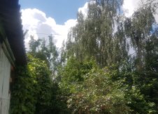 Участок 8 сот.