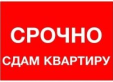 1-к квартира, 35 м², 10/10 эт.