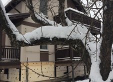 Дом 250 м² на участке 18 сот.