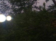 Участок 5 сот.