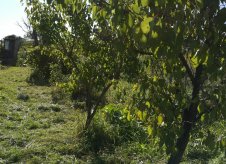 Участок 6 сот.
