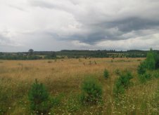 Участок 2000 сот.