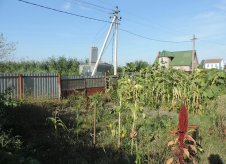 Участок 5.1 сот.