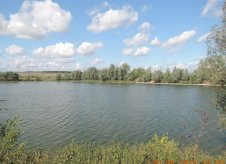 Участок 30 сот. (СНТ, ДНП)