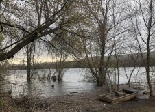 Участок 5 сот. (ИЖС)