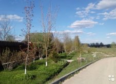 Участок 8 сот.