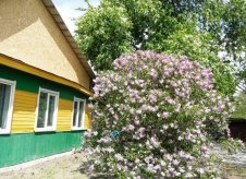Дом 71 м² на участке 1145 сот.