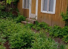 Участок 6 сот.