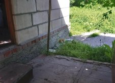 Дом 43.8 м² на участке 8 сот.