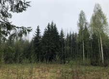 Участок 24 сот.