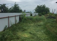 Участок 8 сот.