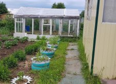 Участок 6 сот.