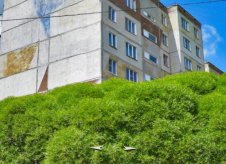 1-к квартира, 330 м², 10/10 эт.