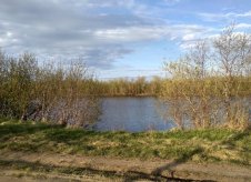 Участок 15 сот. (ИЖС)