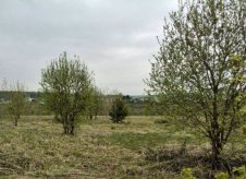 Участок 17 сот. (ИЖС)