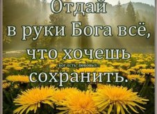 Участок 6 сот. (СНТ, ДНП)