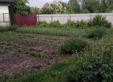 Участок 6 сот. (ИЖС)