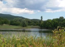 Участок 5 га (СНТ, ДНП)