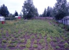 Участок 6 сот. (СНТ, ДНП)