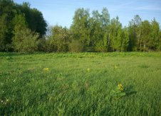 Участок 7 сот.