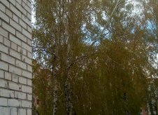 2-к квартира, 45 м², 4/5 эт.