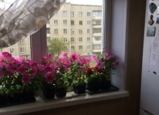 4-к квартира, 74 м², 4/9 эт.