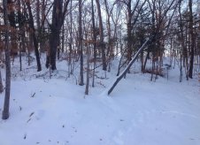 Участок 10.5 сот.