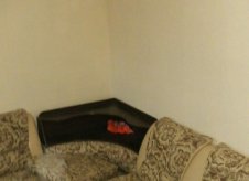 1-к квартира, 320 м², 1/5 эт.